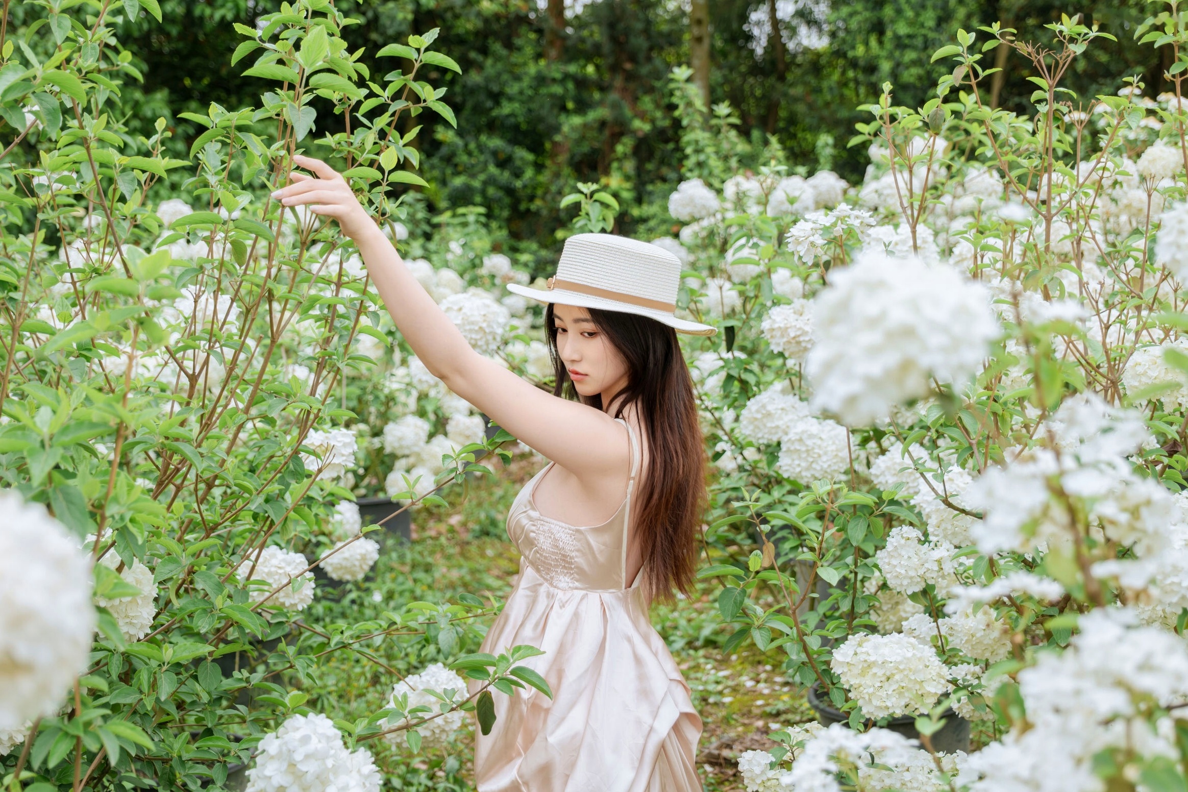 年年-木绣球:深林花海下的清纯与诱惑,户外写真,白皙女神唯美私房照