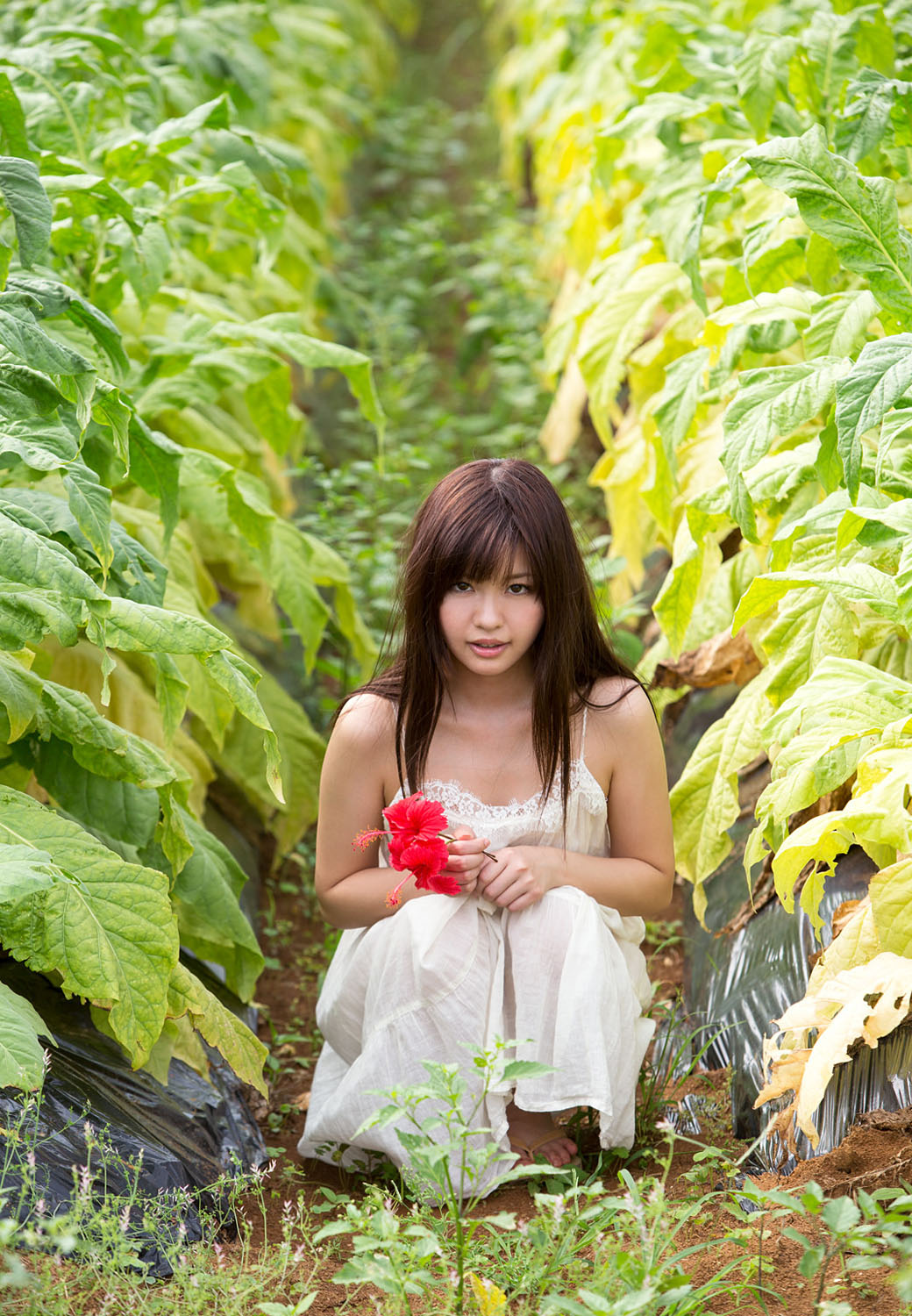 叶山芽衣(葉山めい)-套图写真精选