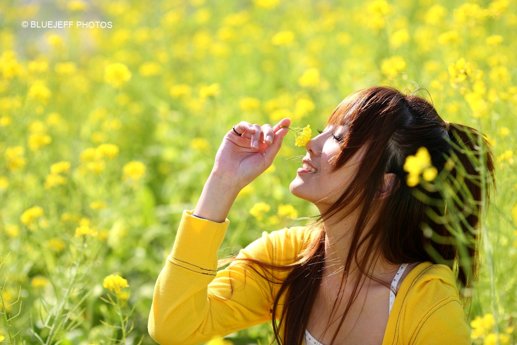 张凯洁/果子MM户外清新随拍:红砖墙花海中的甜美邻家女孩09年经典写真