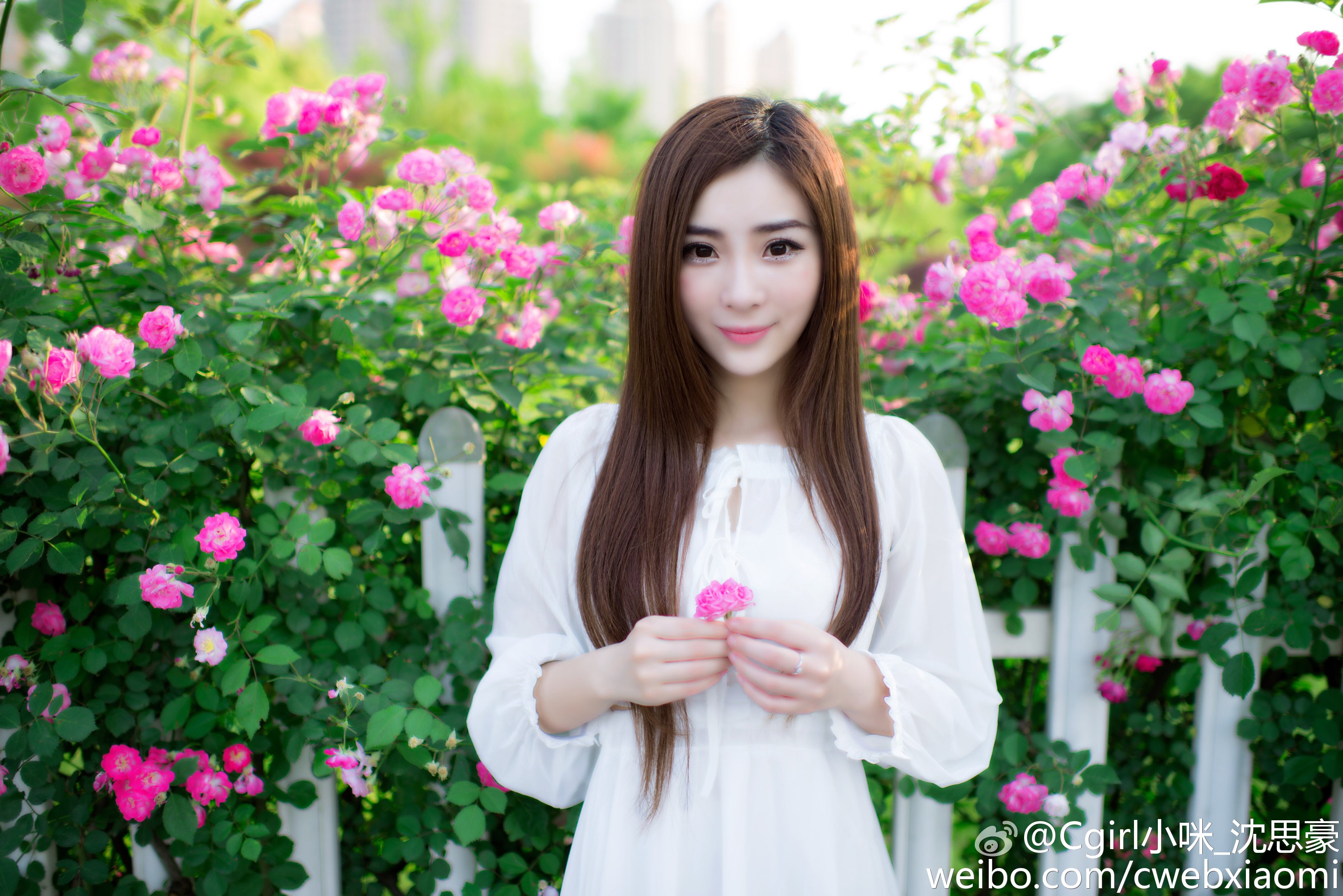 Cgirl小咪(沈思豪) 微博私房写真图
