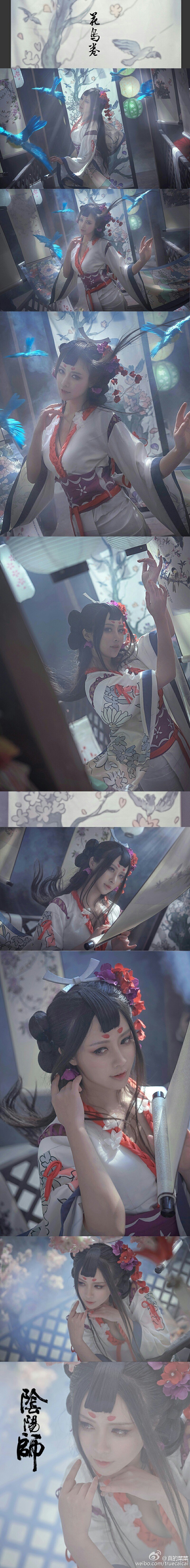 真的菜菜- 阴阳师最新SSR式神「花鸟卷」写真