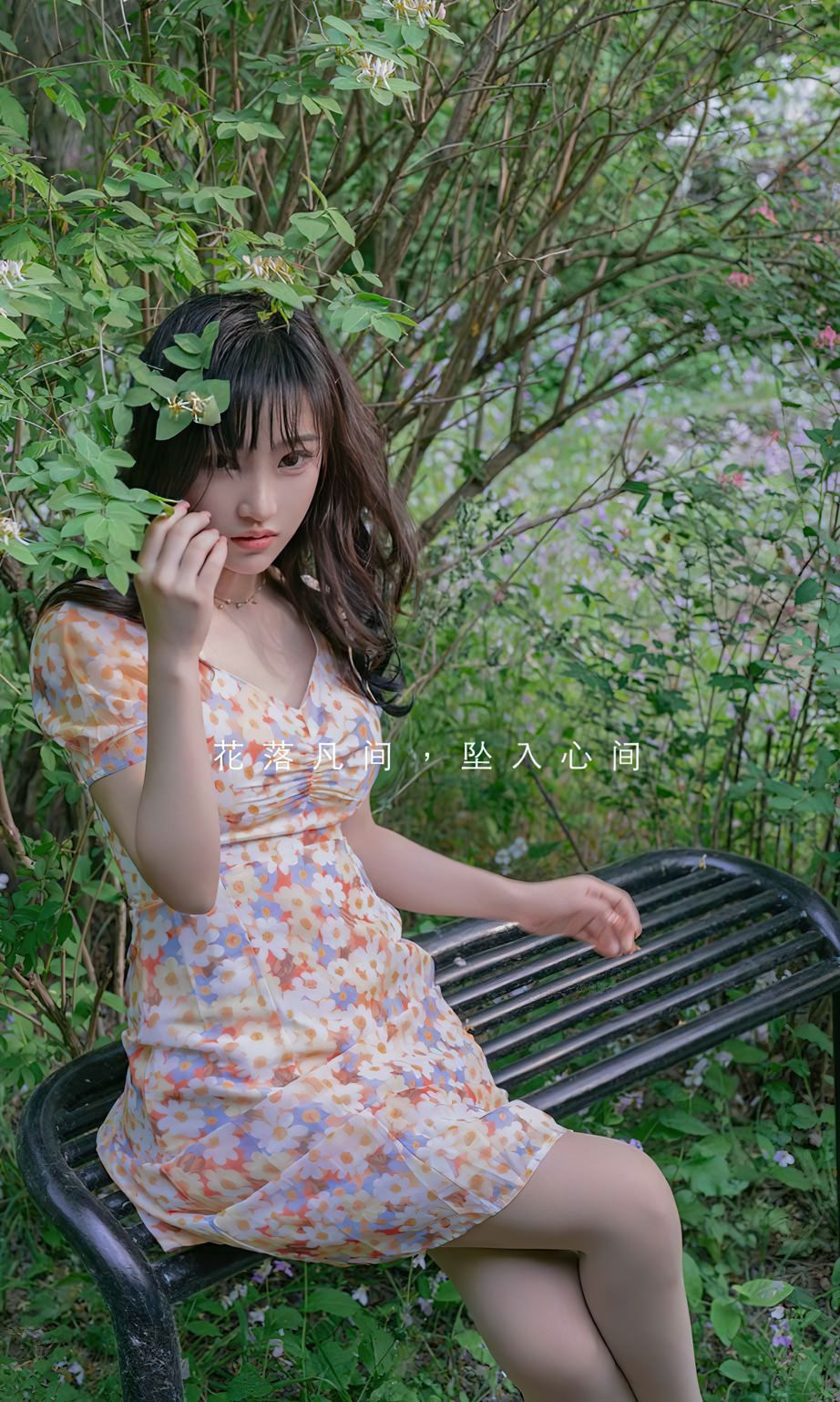 西门小玉花开荼蘼