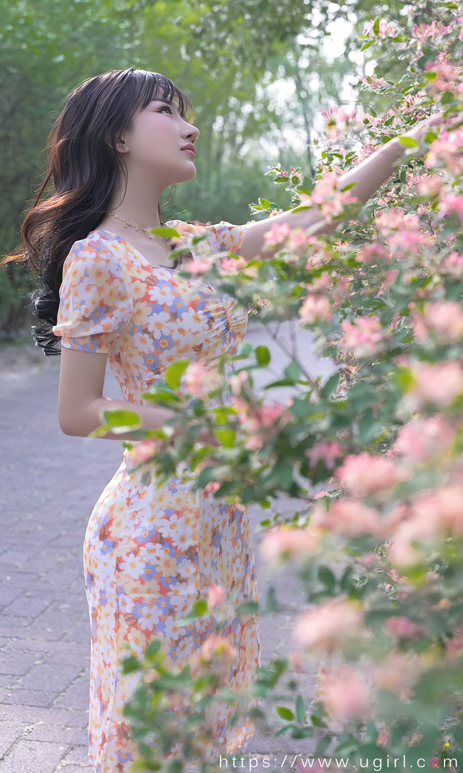 西门小玉花开荼蘼