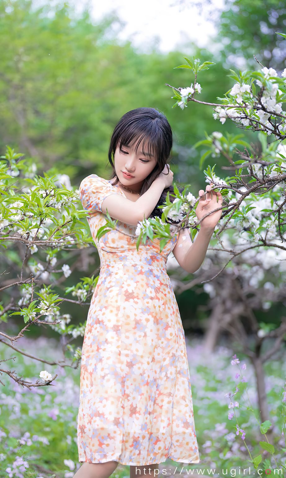 西门小玉花开荼蘼