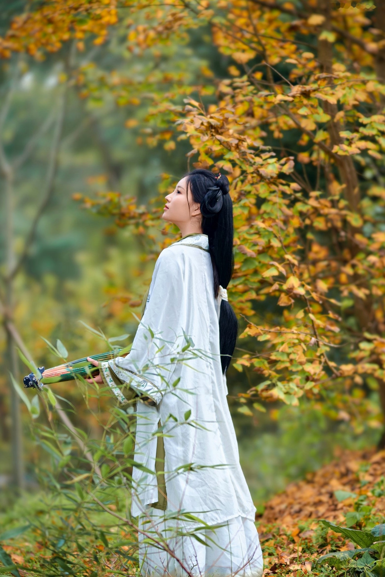 年年Nnian-秋兮:古风汉服户外私房,绝美少女秋日林间大尺度唯美写真