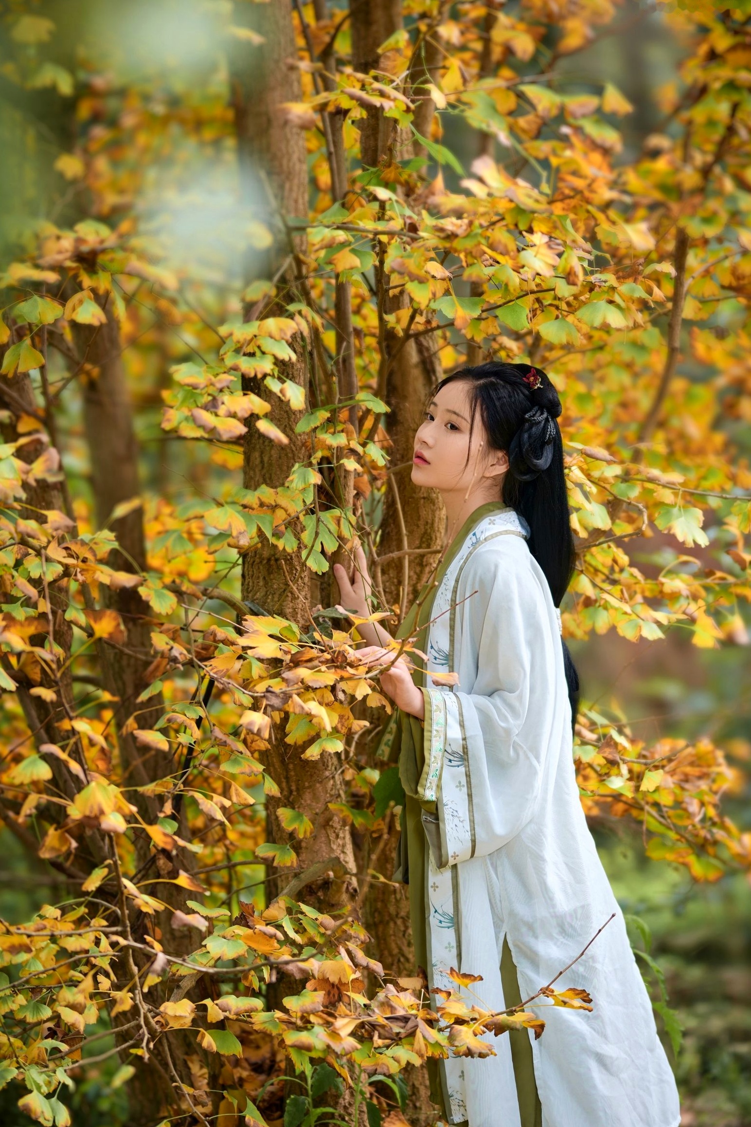 年年Nnian-秋兮:古风汉服户外私房,绝美少女秋日林间大尺度唯美写真