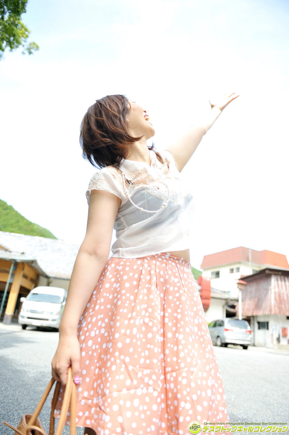 翔田千里-[DGC]高清写真图No.1195套图写真图集