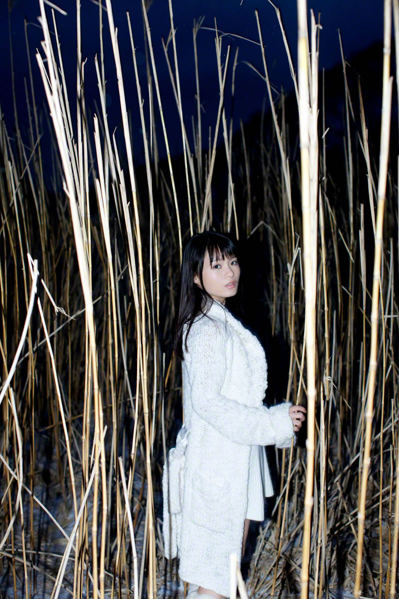 星名美津紀 [Wanibooks WBGC]高清写真图2015.08 No.134