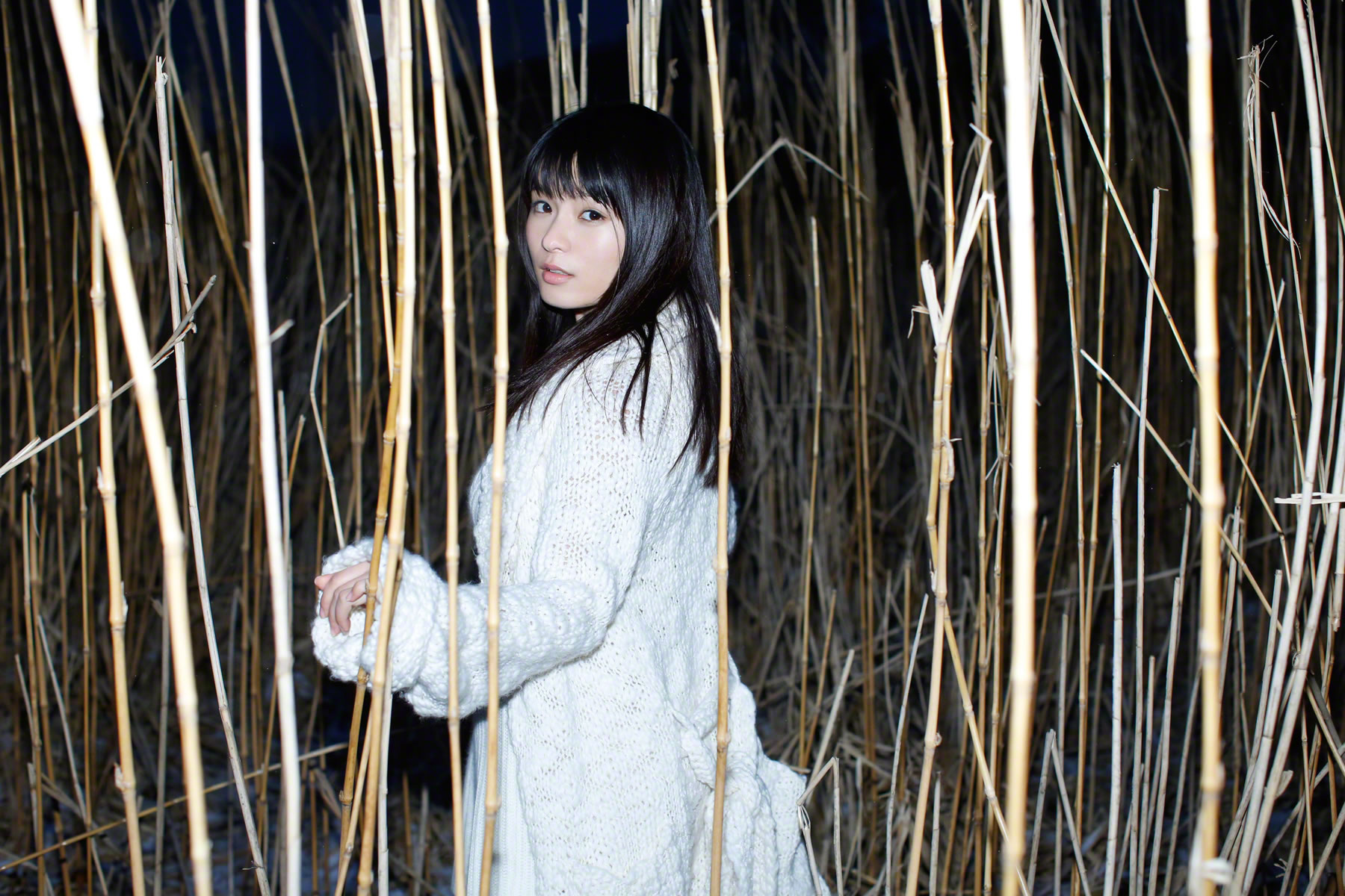 星名美津紀 [Wanibooks WBGC]高清写真图2015.08 No.134