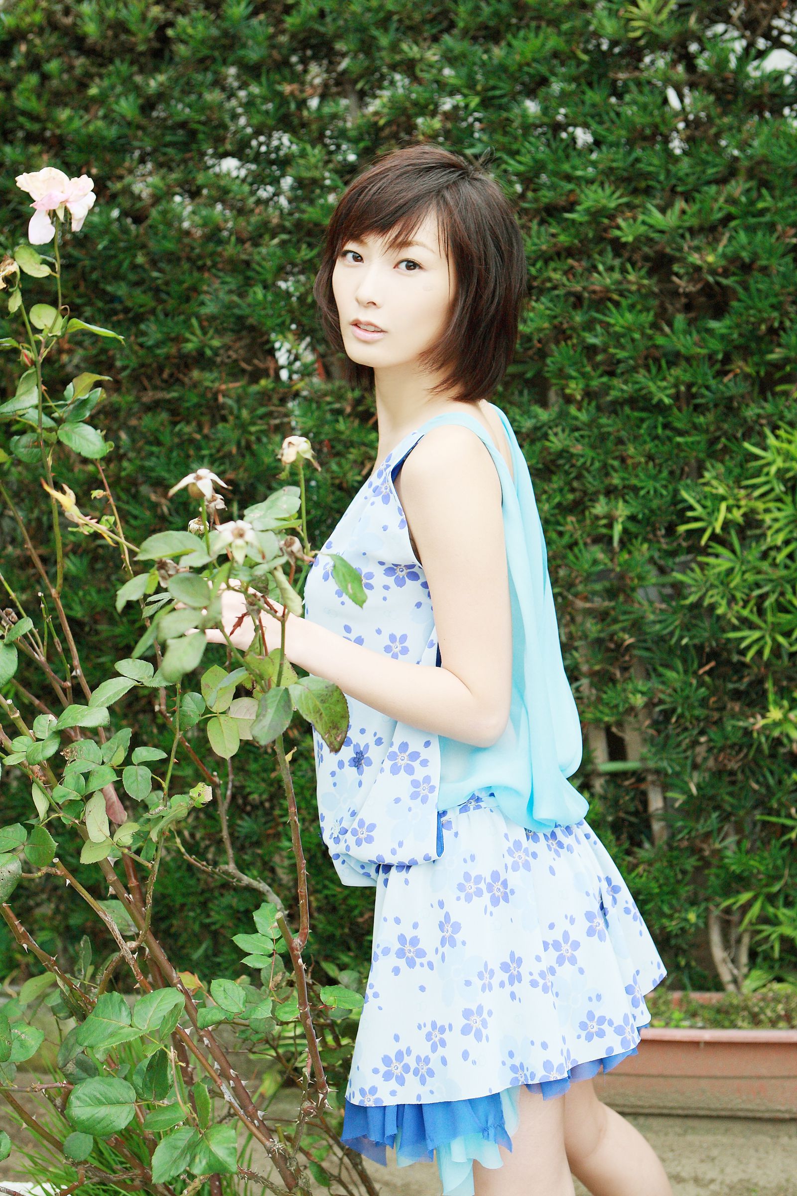 长泽奈央(長澤奈央) [NS Eyes写真图]高清写真图SF-No.486