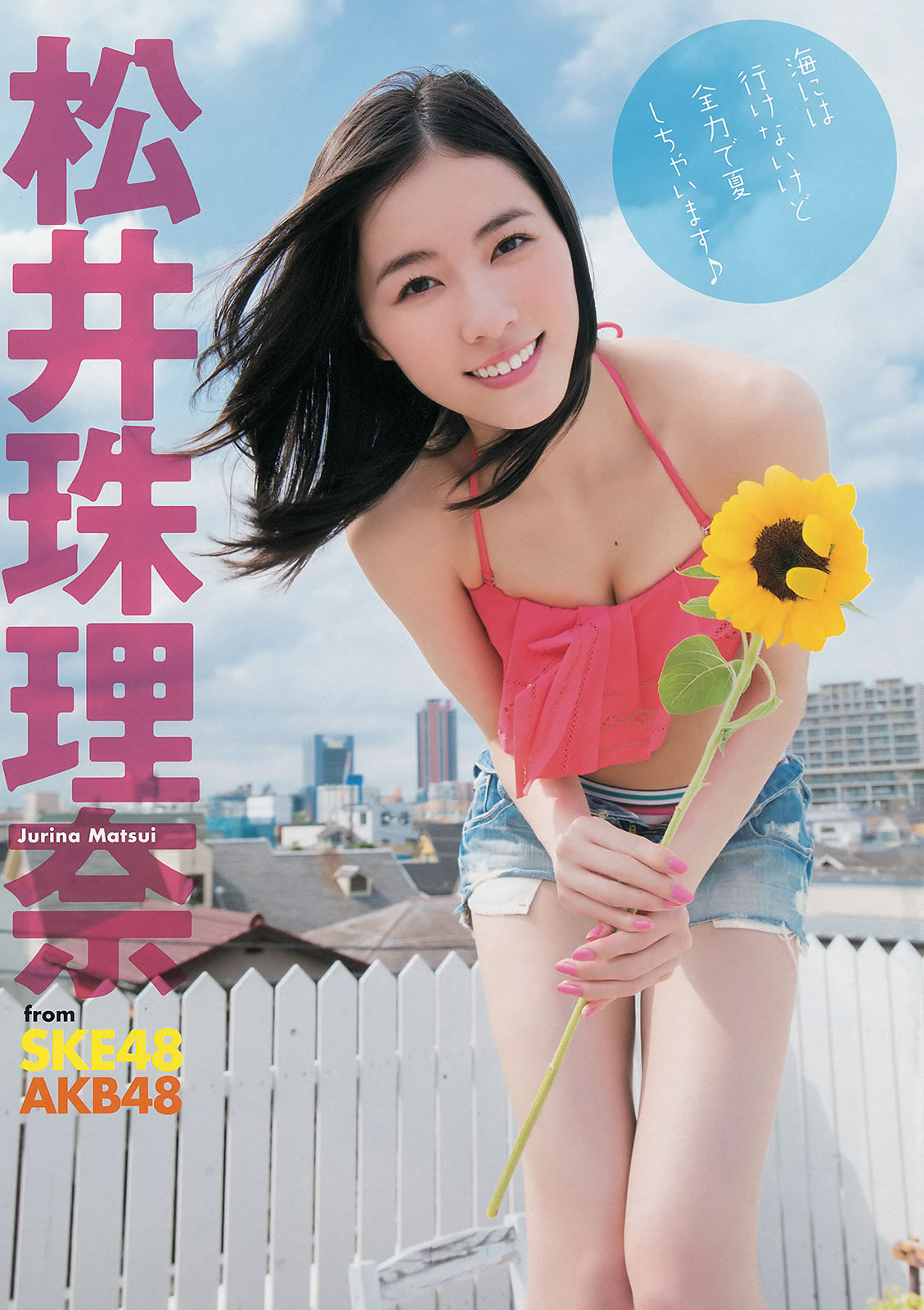[Young Animal]高清写真图2014 No.15 16 桥本环奈 秋山美穂 松井珠理奈 二村春香 竹内舞 古畑奈和 松村香织