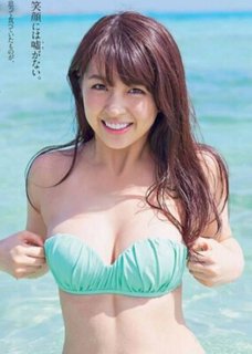 柳百合菜