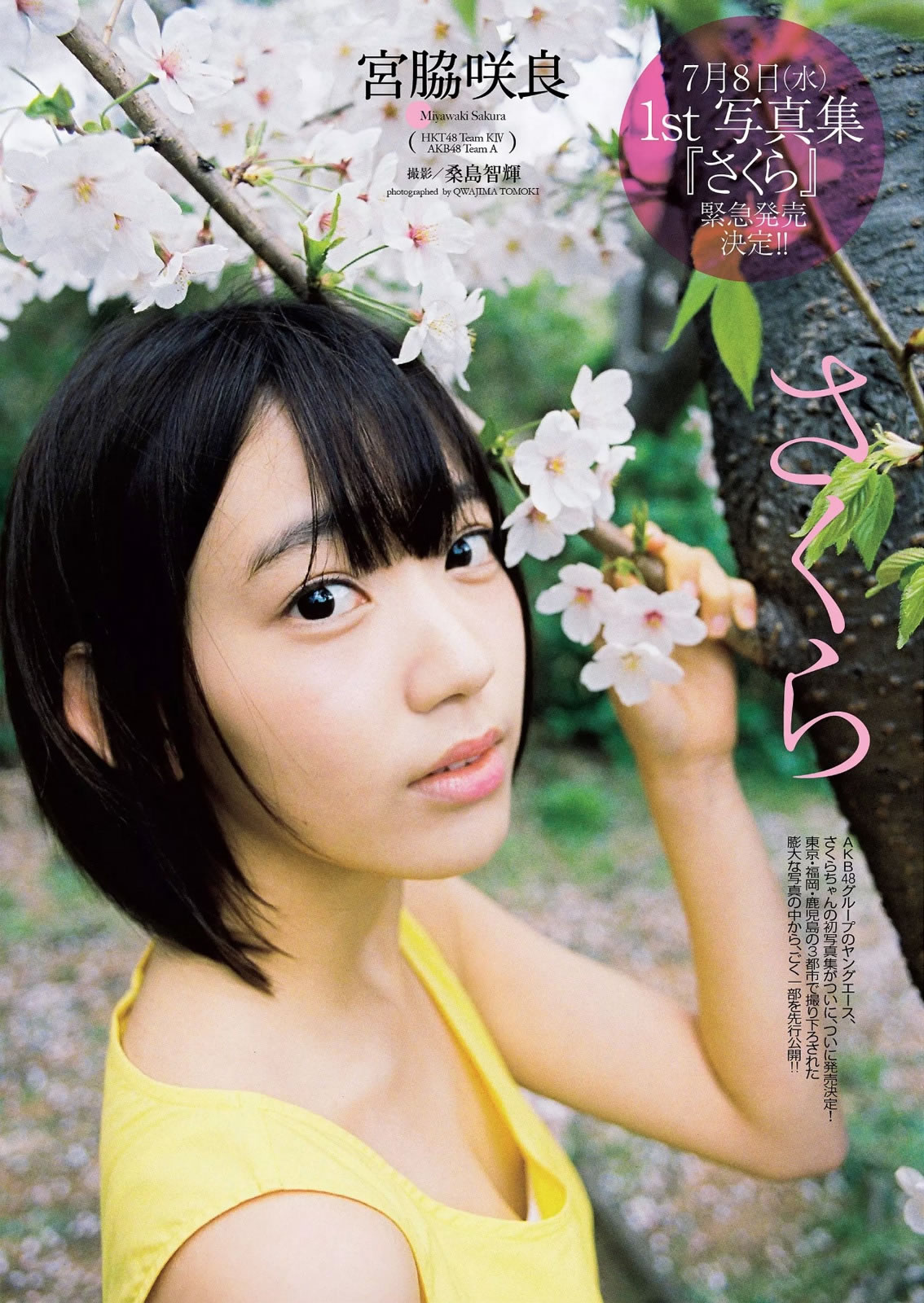 [Weekly Playboy]高清写真图2015 No.25 宫脇咲良 桥本マナミ 稲村亜美 天木じゅん 雄飞ときね 凉本めぐみ 水谷あおい 岛崎结衣 有沢杏