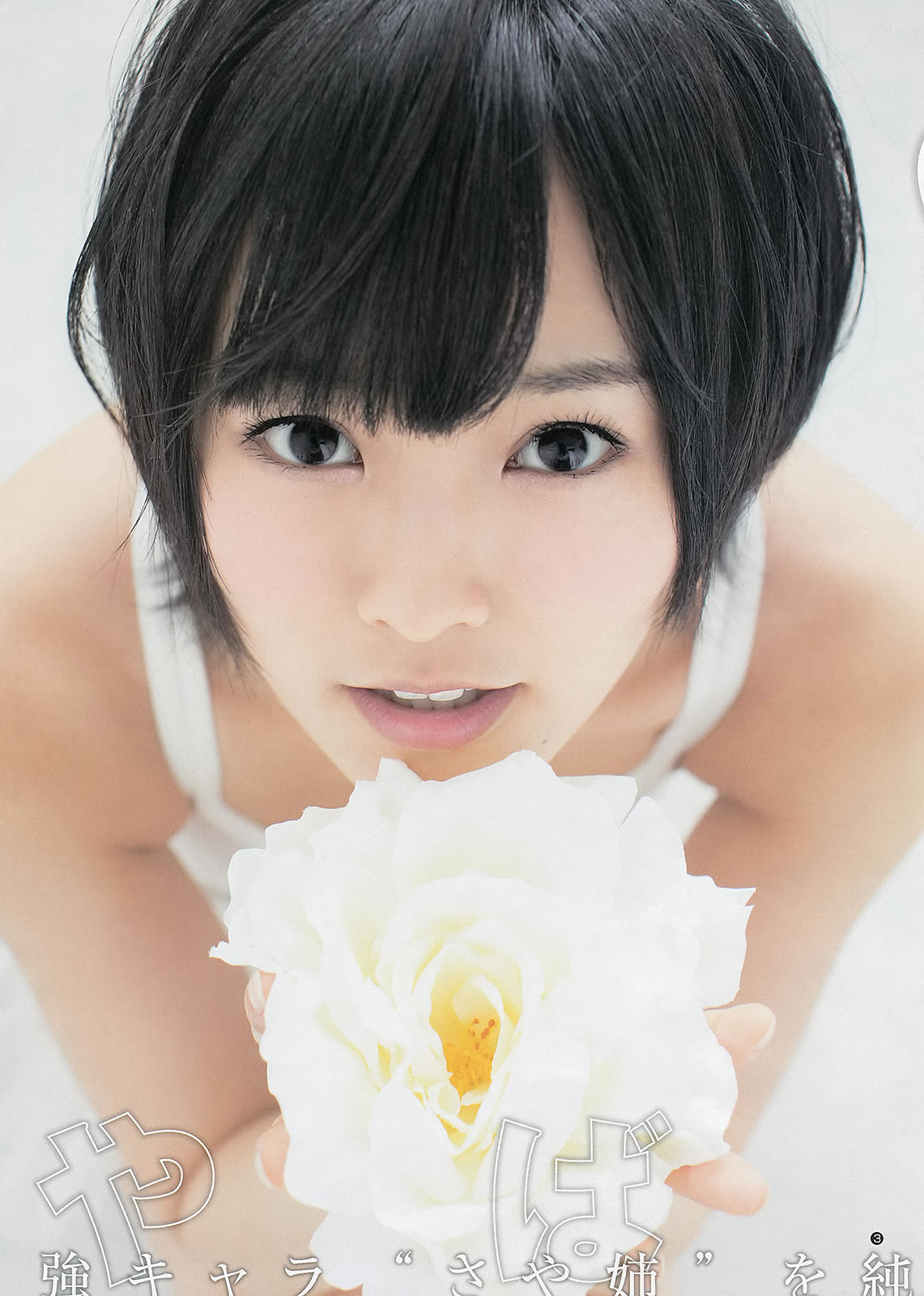 [Weekly Young Jump]高清写真图2013 No.10 11 山本彩 西野七瀬 吉本実忧 柏木由纪