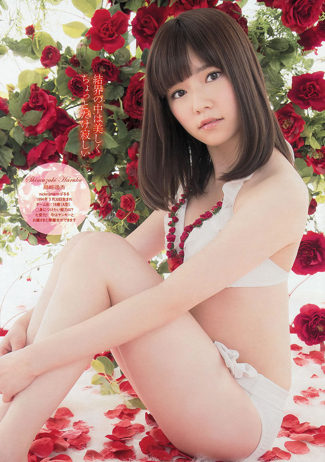 [Weekly Playboy]高清写真图2013 No.09 渡辺麻友 岛崎遥香 小岛瑠璃子 饭田里穂 逢沢りな