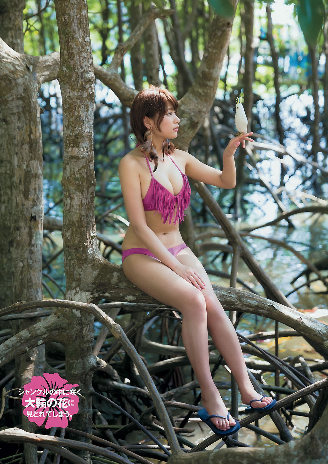 [Young Magazine]高清写真图2015 No.25 26 武藤十梦 茂木忍 穴井千寻 真野恵里菜 染谷有香 久松郁実 夏目花実