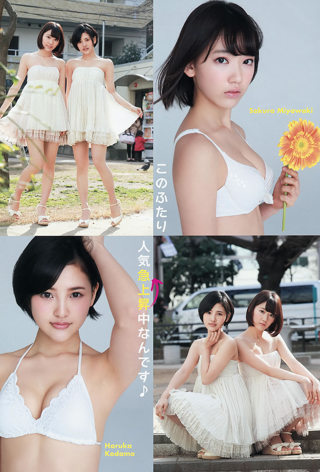 [Young Animal]高清写真图2015 No.10 11 宫脇咲良 儿玉遥 朝长美桜 松冈菜摘 穴井千寻 おのののか 羽宫千皓