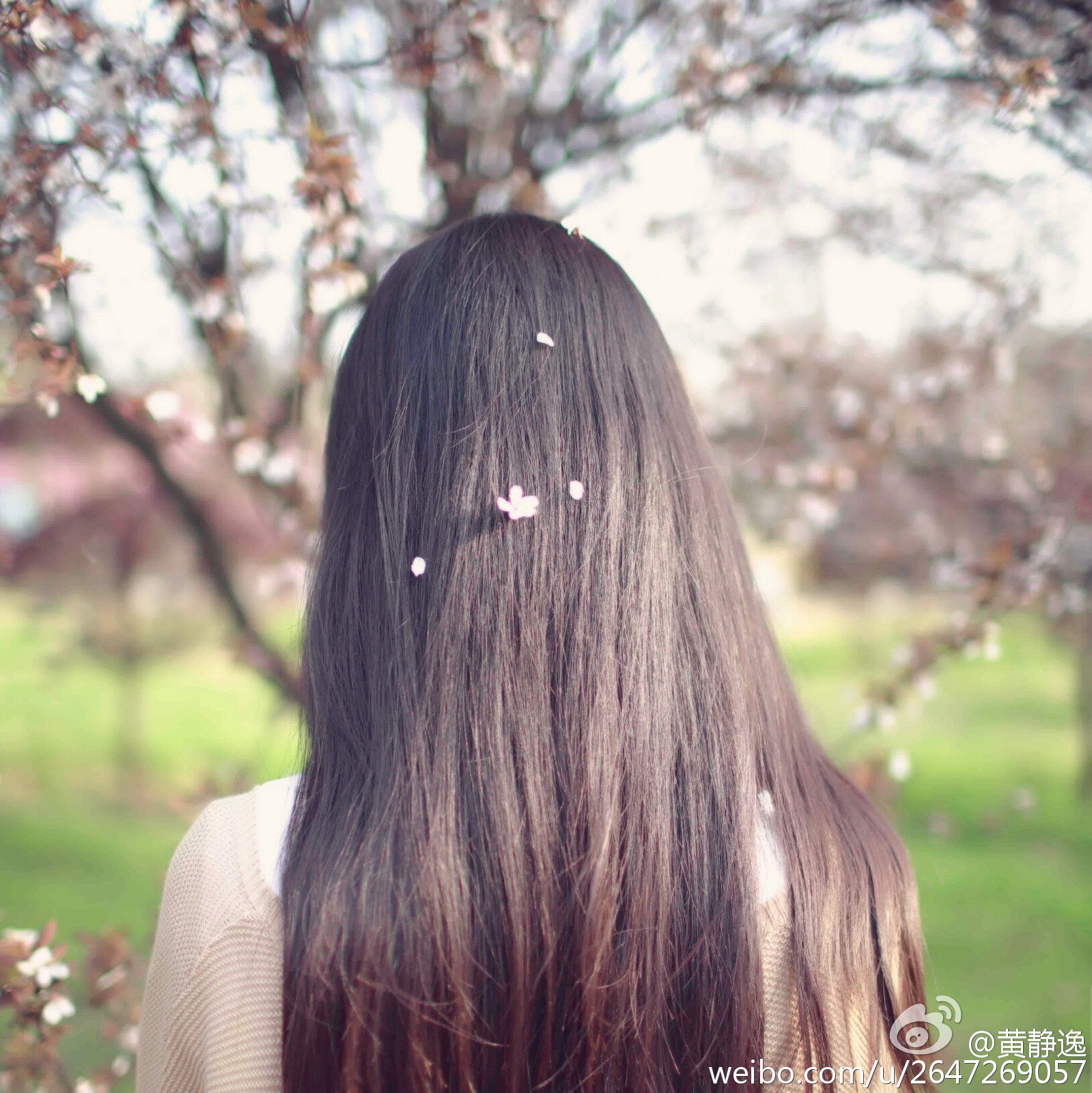 黄静逸 华中科大女神唯美写真图～