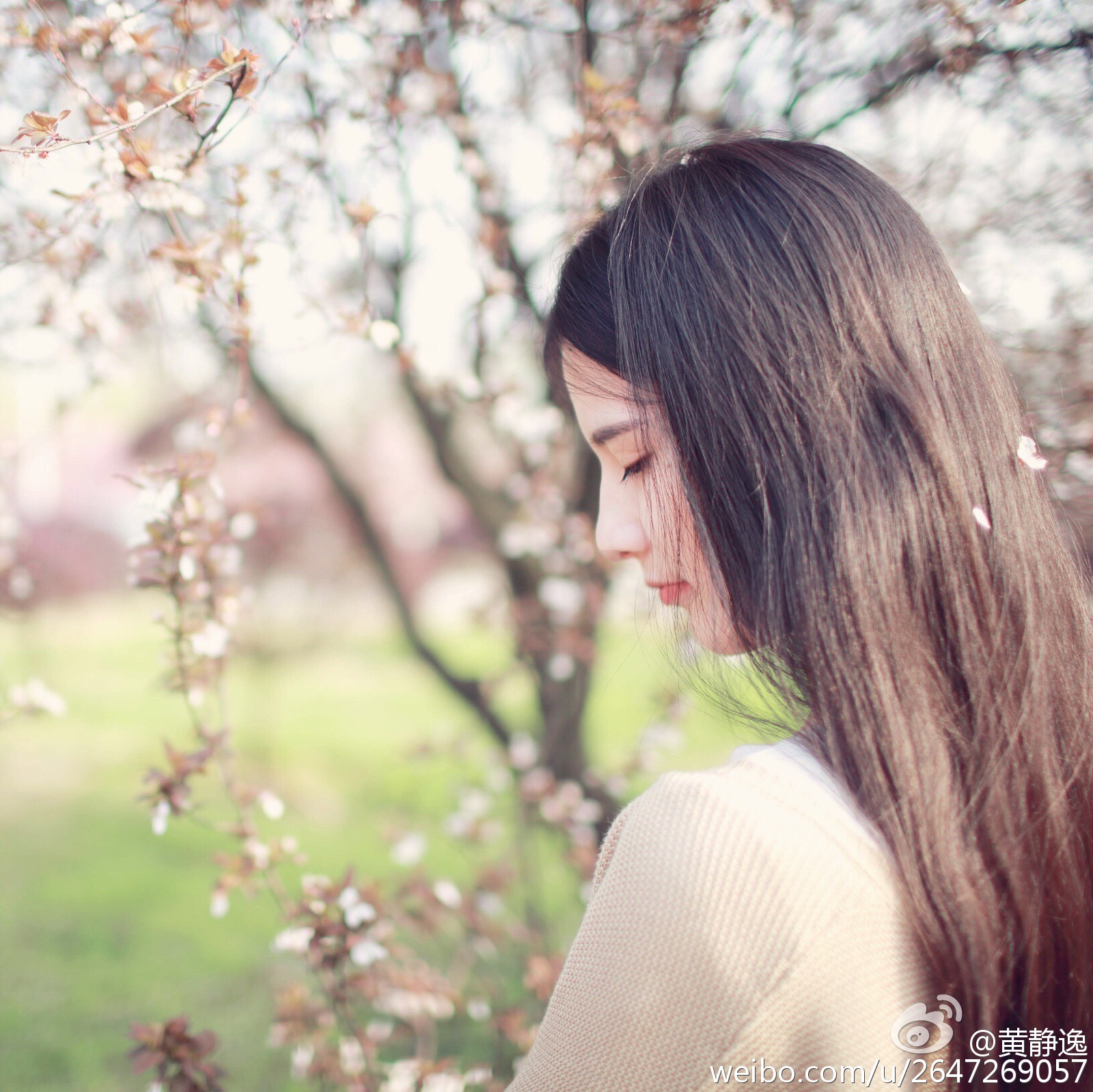 黄静逸 华中科大女神唯美写真图～