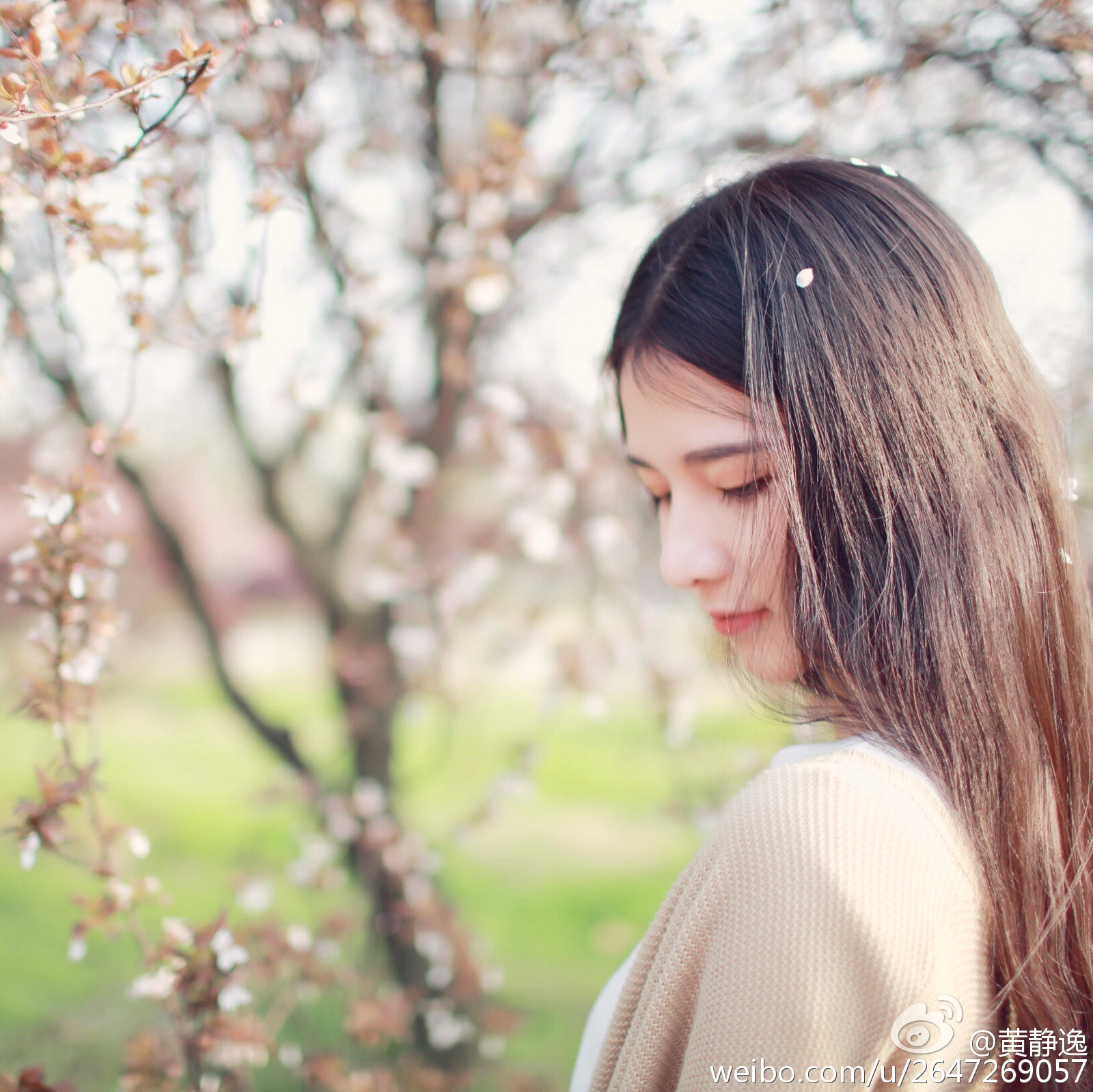 黄静逸 华中科大女神唯美写真图～
