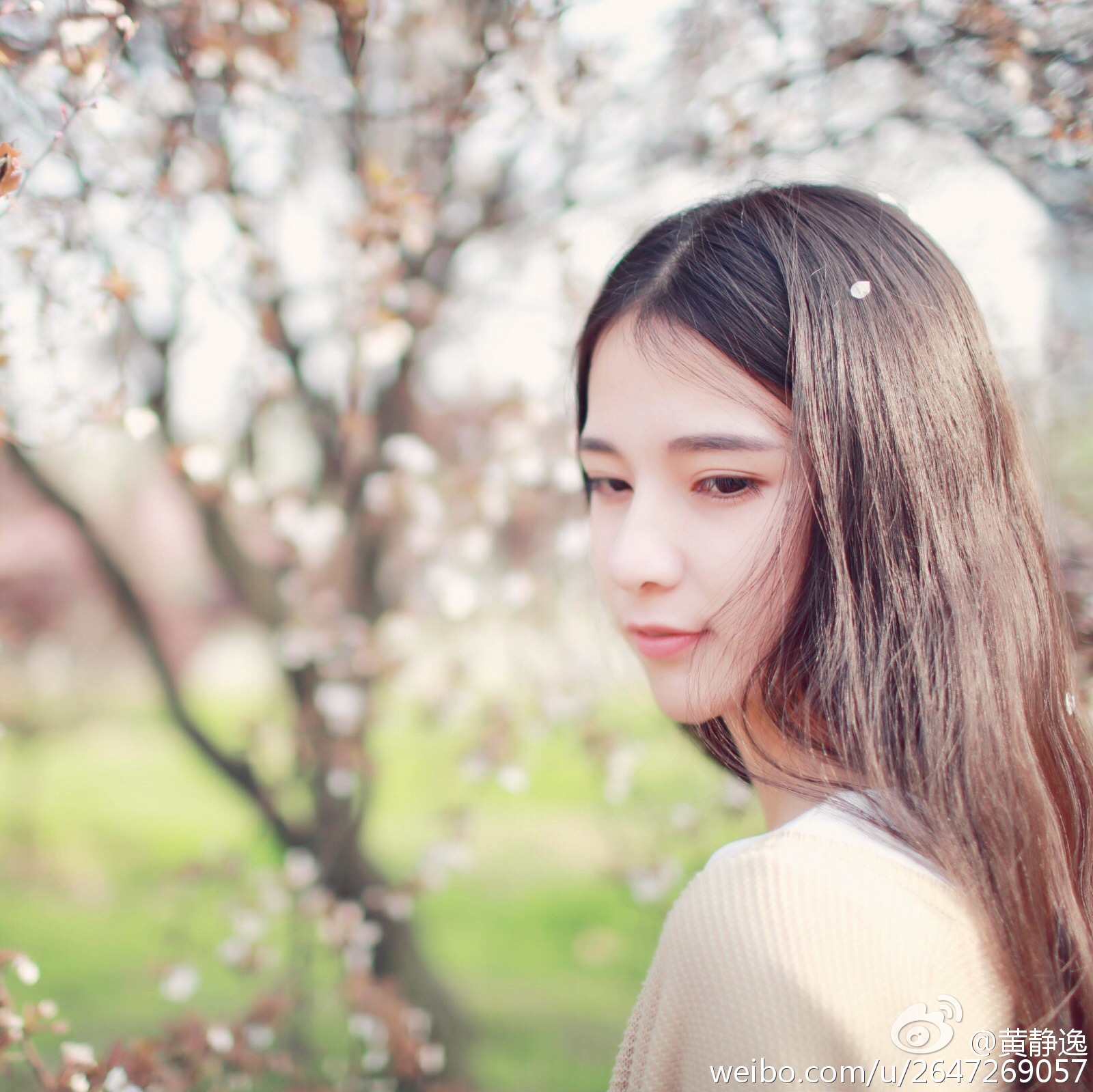 黄静逸 华中科大女神唯美写真图～