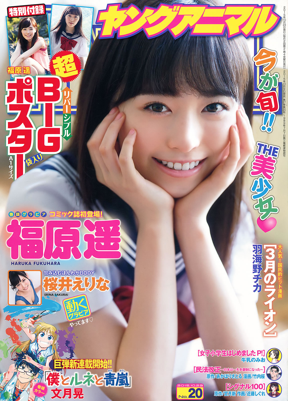 [Young Animal]高清写真图2015 No.20-21 福原遥 桜井えりな 兒玉遥 神志那結衣 HKT48 [45P]高清写真图