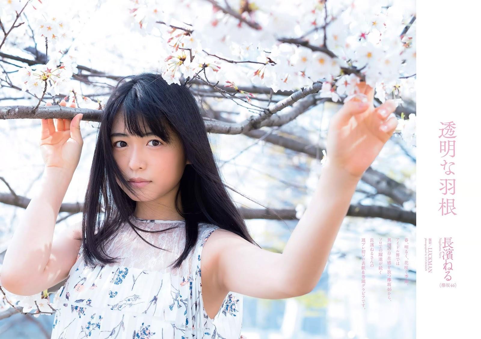 長濱ねる- 2018周刊杂志写真合辑