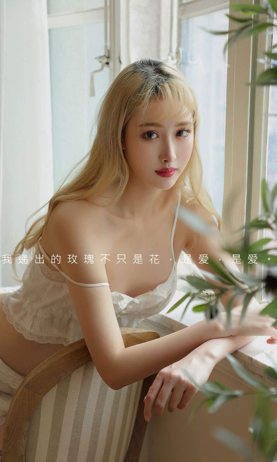 兔哥的玫瑰理想