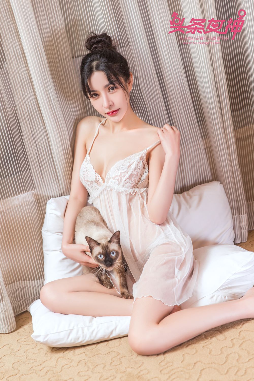 头条女神少女与猫 你更中意哪个？
