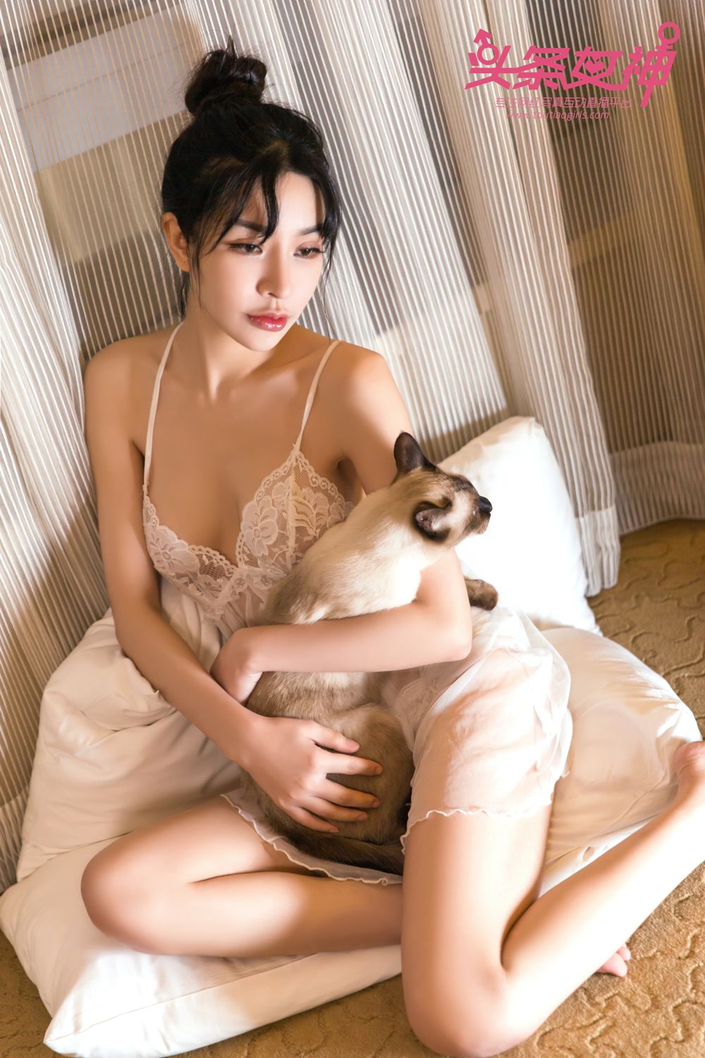 头条女神少女与猫 你更中意哪个？