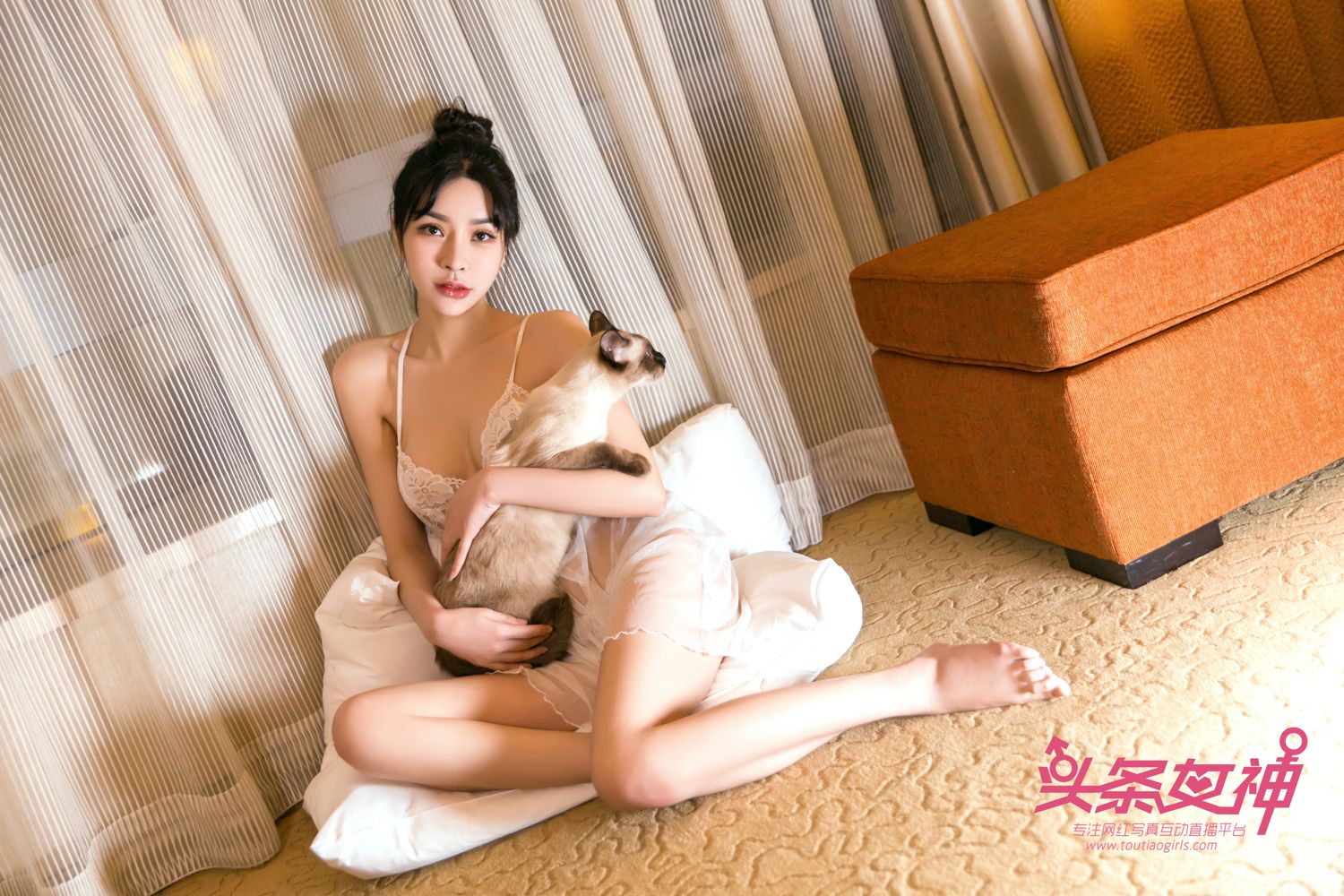 头条女神少女与猫 你更中意哪个？