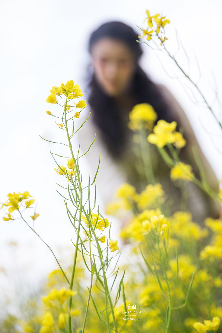 [TouTiao头条女神]高清写真图 2020.04.20 油菜花的晴天 钟晴