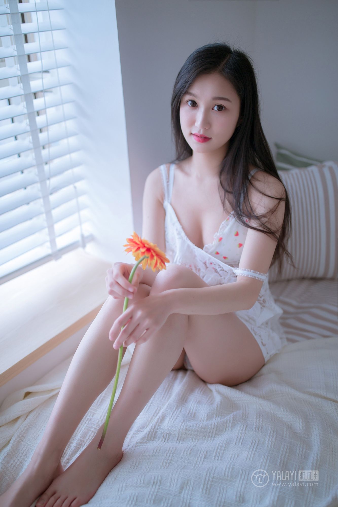 [YALAYI雅拉伊]高清写真图 2019.02.14 No.185 你是我手里那束花 仙女不会灰