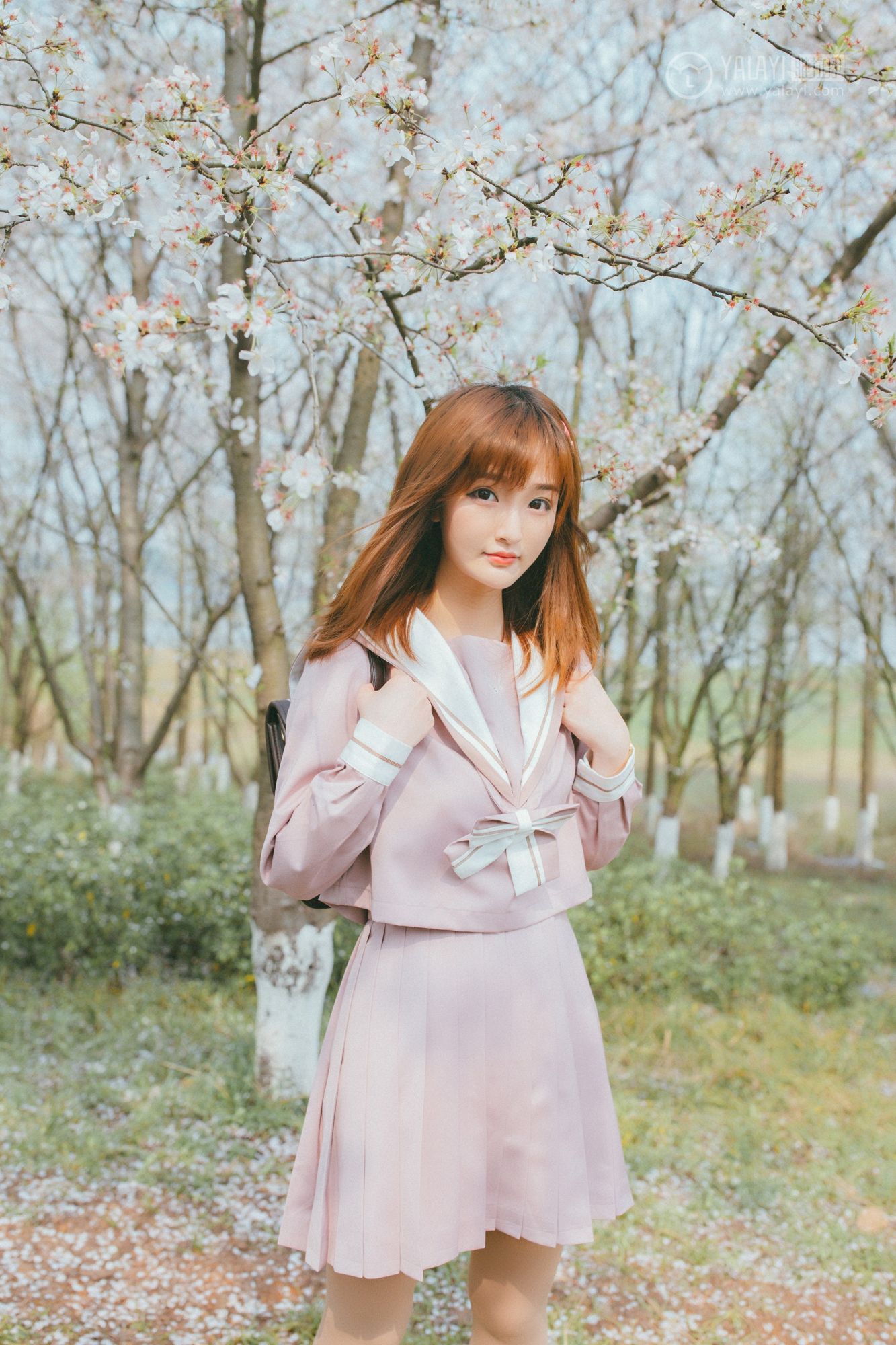 [YALAYI雅拉伊]高清写真图 2019.04.15 No.246 樱花樱花想见你 团团