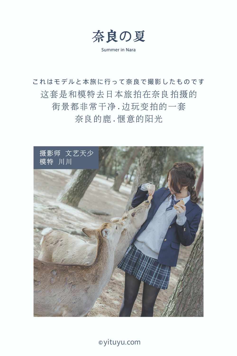 奈良の夏