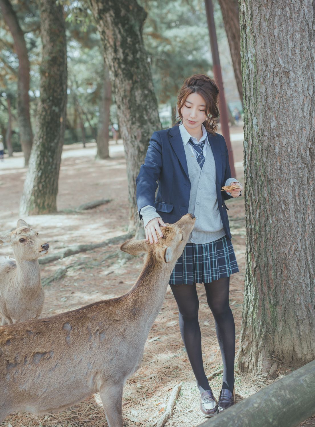 奈良の夏