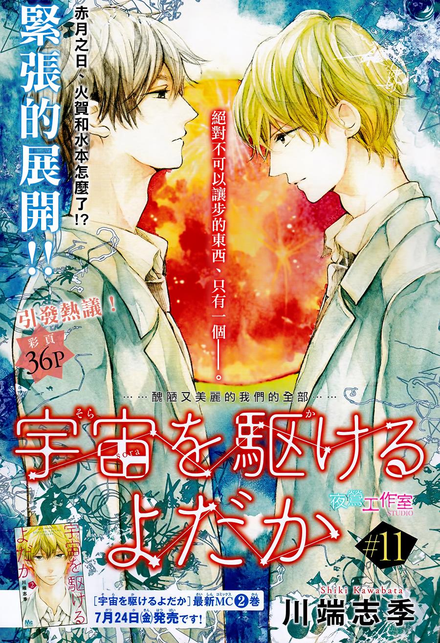 《翱翔于天际的夜鹰》