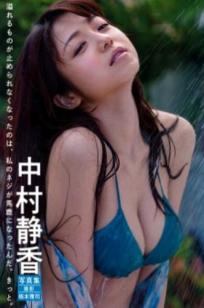 PB写真集_中村静香《Afureru》高清套图_清新泳装比基尼户外沙滩写真