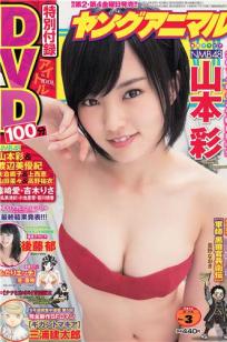 [Young Animal]高清写真图2014 No03.04 山本彩 後藤郁 仙石みなみ 山中知恵