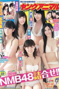 [Young Animal]高清写真图2014 No.17 (NMB48)