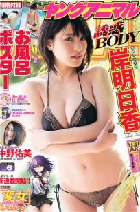 [Young Animal]高清写真图2015 No.05 06 (天木じゅん 金子栞) 岸明日香 中野佑美 [30P]高清写真图