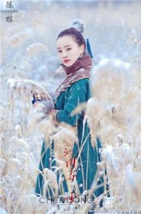 士布士尼大爷 雪季唯美户外写真图